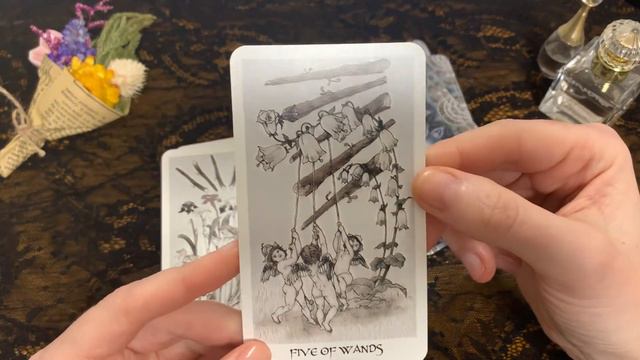 Обзор очень красивой колоды « Vintage Harmonious Tarot»🥀 Винтажное Таро Гармонии.