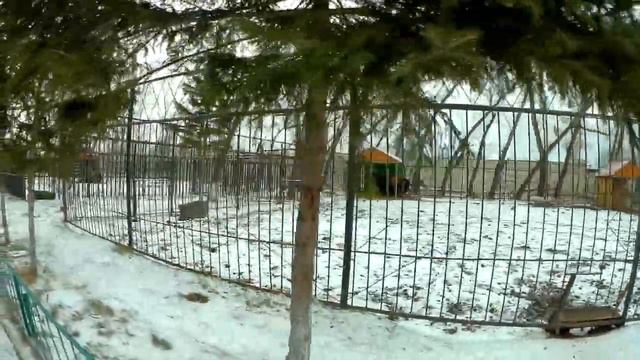 Экскурсия  1 А в зоопарк города Абакана.