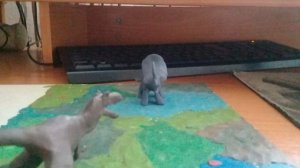 Пластилин,бои динозавров часть 1