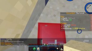 USING MINECRAFT ADMIN COMMANDS TO DO WHATEVER I WANT