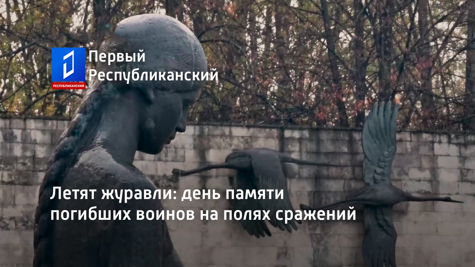 Летят журавли: день памяти погибших воинов на полях сражений