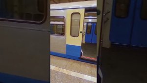 Нет посадки на Оку 81-760/761 на станции Новогиреево Калининская линия