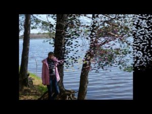 Берега - поёт Александр Малинин