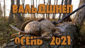 Удачный сезон. Охота на вальдшнепа с дратхааром осенью 2021 года.