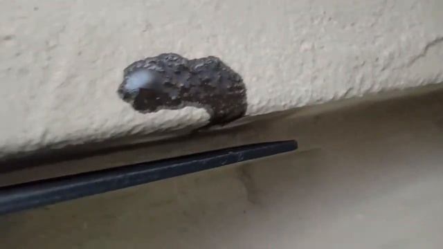 Установка фаркопа на Ладу Гранту.