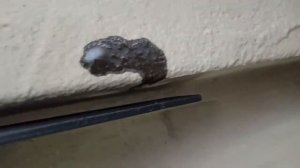 Установка фаркопа на Ладу Гранту.