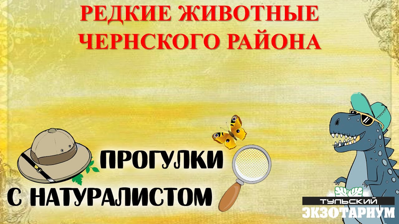 КРАСНАЯ КНИГА ТУЛЬСКОЙ ОБЛАСТИ. ЧЕРНСКИЙ РАЙОН.