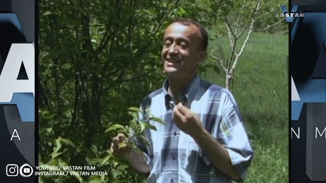 Аё ай купруки ман. Шоири замонави Башири Ботлоки. Ташриф смотреть онлайн