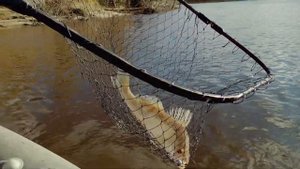 Снова попали на клёв СУДАКА! Рыбалка в Тюмени. Рыбалка 2020.