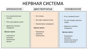 9.2 Моллюски - разнообразие (7 класс) - биология, подготовка к ЕГЭ и ОГЭ 2018