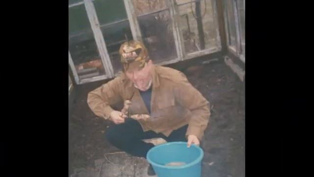 С Днем рождения, Папа! смотреть онлайн