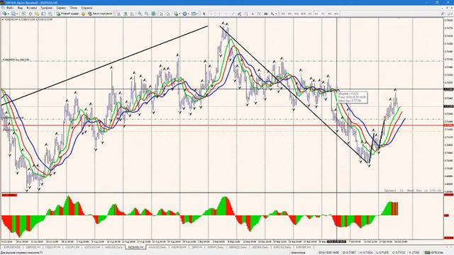 Обзор финансовых рынков от Александра Котина 20.10.2016 смотреть онлайн