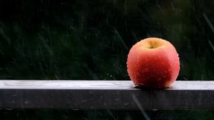 ☔️ Шум дождя 3 часа. Концентрация внимания на учебе или работе. Летний дождь. Звуки дождя для сна.?