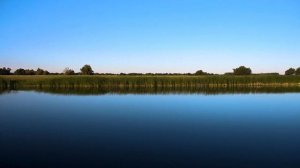 Рыбалка в Волго-Ахтубинской пойме июль 2019