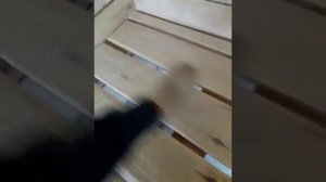 полки в бане масло финно-угорские секреты