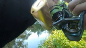 Клев ламского голавля в июне.