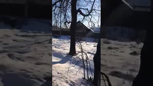 Видео участок Кузенево