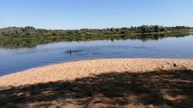 Эх...Рыбалочка...Рыбалка(Классная песня)