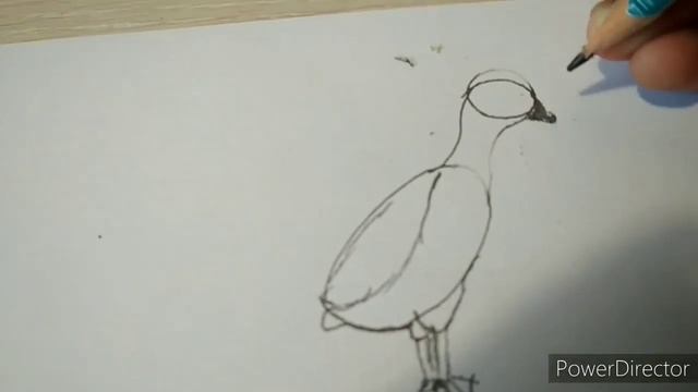 Как нарисовать гуся?? смотреть онлайн