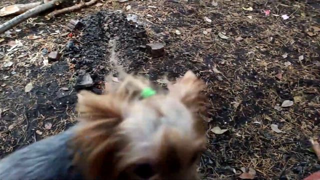 Потеряли? смотреть онлайн