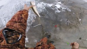 Зимняя рыбалка в Астрахани на Судака