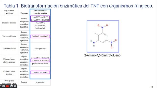 BIOTRANSFORMACIÓN ENZIMÁTICA DE 2,4,6-TRINITROTOLUENO POR LACASAS DE PYCNOPORUS SANGUINEUS CS43 смотреть онлайн