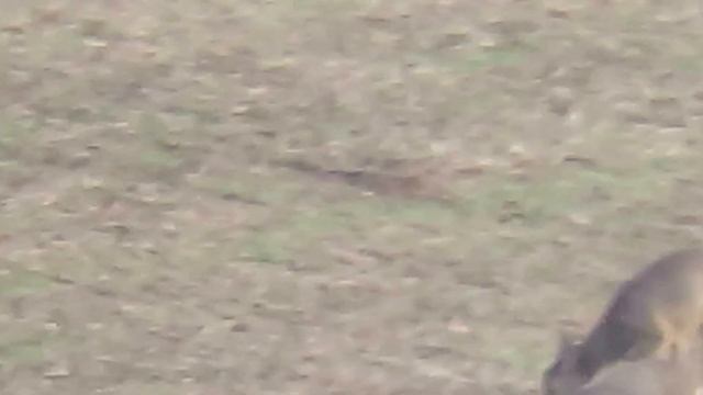 canon powershot sx60 смотреть онлайн