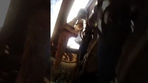 Замена диска сцепления на газ 3307