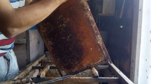 Распечатываем соты. Нож для распечатки рамок.