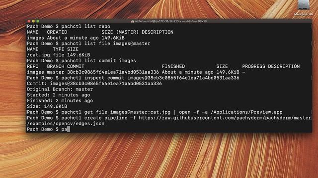 How to Use Pachyderm - Beginner's Tutorial Walkthrough смотреть онлайн