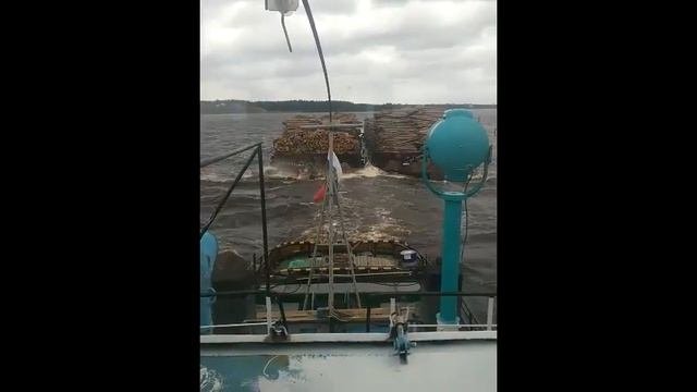 коллеги, всех с днем речника!!!! #типичныйречник