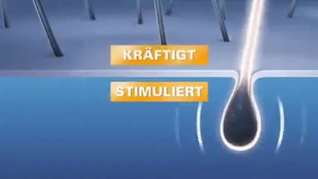 Schwarzkopf Schauma 2009 смотреть онлайн