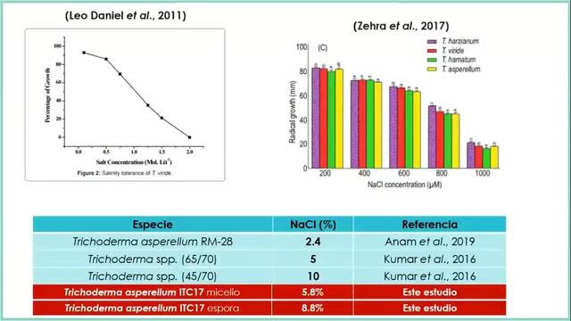 Tolerancia al estrés abiótico en plantas inducido por Trichoderma смотреть онлайн
