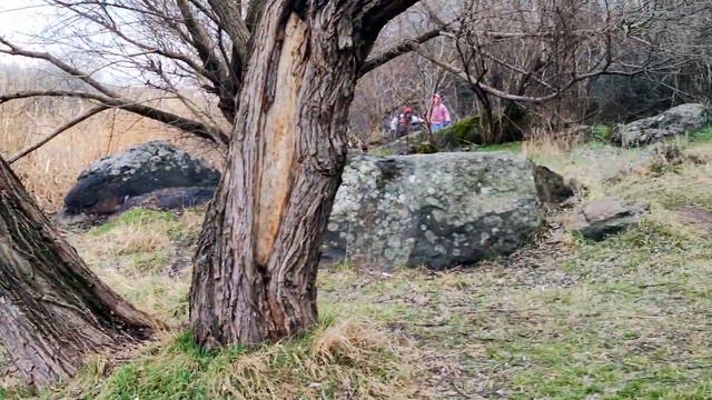 👌Весна пришла 🥰У реки цветут лютики и фиалки 😲Горит старая ива 🪓Лев смастерил новый топор👍 смотреть онлайн