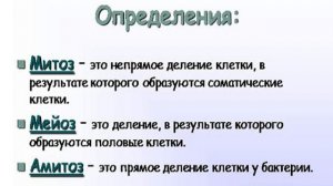 Значение митоза и мейоза 8 класс