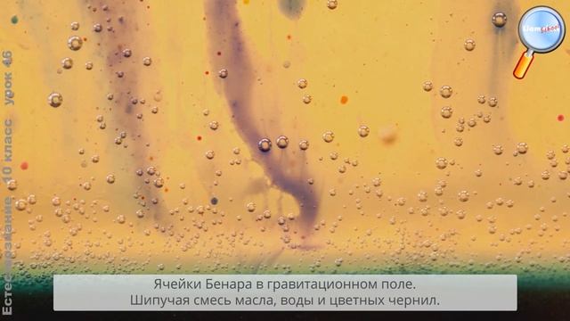 Естествознание 10 класс (Урок№46 - Самоорганизация. Причины и условия.)