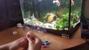 ??Туториал как сделать бутылку для рисования на асфальте ❤️✨