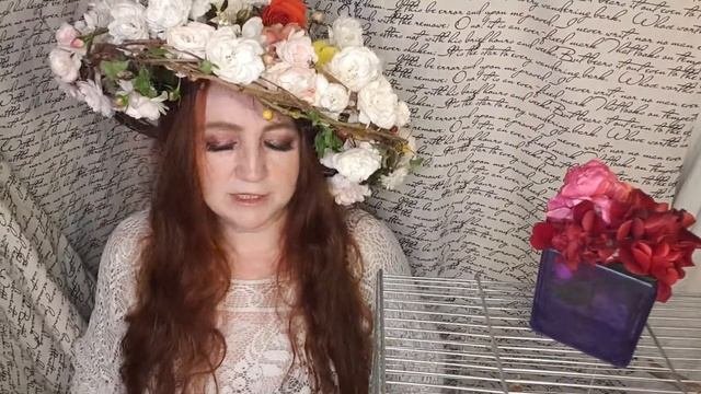 Непристойность