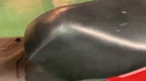 SUZUKI ADDRESS 125 DT11A-102916, AF22-102963, RED, 2018, KUPISCOOTER.RU