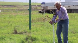 Своя земля. Радость и сложности. Чтобы Вы знали и я не забывал.