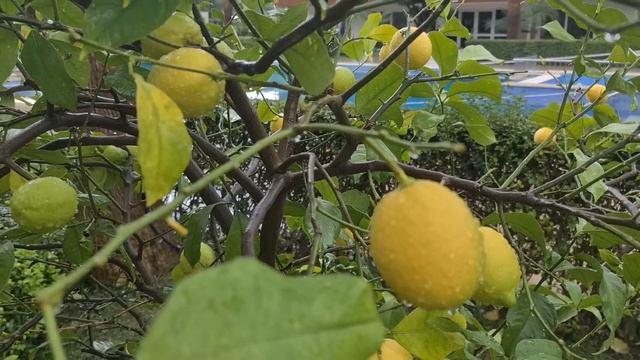 ТУРЦИЯ.ЗЕМЛЕТРЯСЕНИЕ.ЧЕМ ХОРОША ВТОРИЧНАЯ НЕДВИЖИМОСТЬ.ЧУДЕСНОЕ СПАСЕНИЕ УТОНУВШЕЙ ТУРИСТКИ