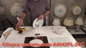 Накладной светильник ARTE Lamp A4042PL-2CC - видеообзор