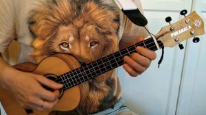 Я НА СОЛНЫШКЕ ЛЕЖУ УКУЛЕЛЕ