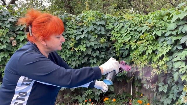 ПОТРЯСАЮЩАЯ ИДЕЯ для дома из шишек. Беру шишки и делаю ЧУДО. смотреть онлайн