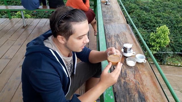 Кофе Luwak на кофейной плантации во Вьетнаме