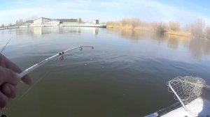 Рыбалка с Азартом. Щука чуть не утащила. Супер клёв. Рыбалка в Астрахани 2023