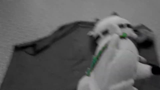 Мультик Мистер Крабс вспоминает свое детство смотреть онлайн