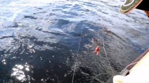 ПОЕХАЛ НА КРУПНОГО ЛЕЩА,А ТАМ...))ЛОВЛЯ ЛЕЩА С ЛОДКИ НА КОЛЬЦО!