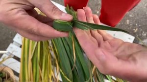 Плетение из трав. Природный декор