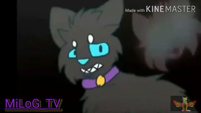 {Коты воители} {Клип} °•○●.{SOLO}.●○•° смотреть онлайн